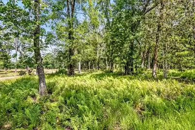 0 Allandale Plantation Road, Wadmalaw Island, SC 29487 - Photo 55