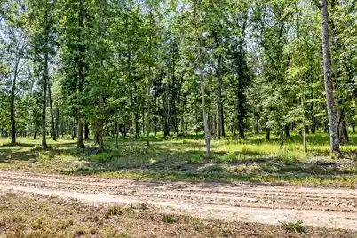 0 Allandale Plantation Road, Wadmalaw Island, SC 29487 - Photo 49