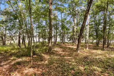 0 Allandale Plantation Road, Wadmalaw Island, SC 29487 - Photo 17