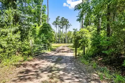 0 Allandale Plantation Road, Wadmalaw Island, SC 29487 - Photo 57