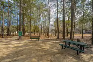 218 Comiskey Park Cir, Summerville, SC 29485 - Photo 59