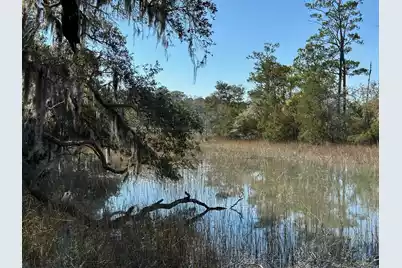 0 Allandale Plantation Road, Wadmalaw Island, SC 29487 - Photo 7