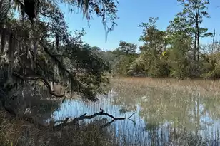 0 Allandale Plantation Rd, Wadmalaw Island, SC 29487 - Photo 7