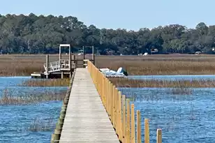 0 Allandale Plantation Rd, Wadmalaw Island, SC 29487 - Photo 3