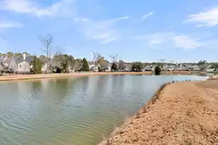 1861 Great Hope Dr, Mount Pleasant, SC 29466 - Photo 39