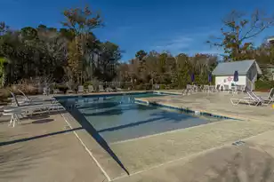 3845 Tupelo Branch Row, Mount Pleasant, SC 29429 - Photo 45
