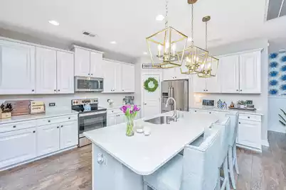 3845 Tupelo Branch Row, Mount Pleasant, SC 29429 - Photo 15