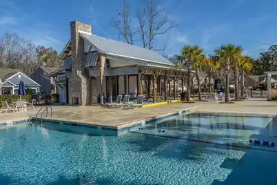 3845 Tupelo Branch Row, Mount Pleasant, SC 29429 - Photo 41