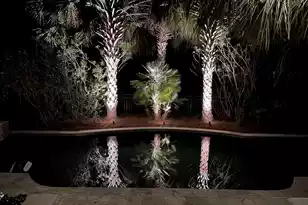 4058 Ten Shillings Way, Ravenel, SC 29470 - Photo 35