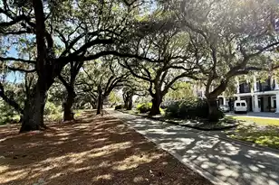 130 River Landing Dr, Charleston, SC 29492 - Photo 41