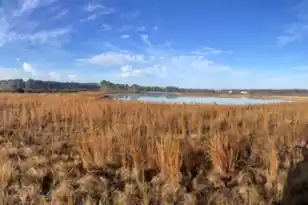 765 Percy Ln, Cross, SC 29472 - Photo 1