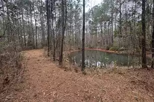 0 Deerhaven Ct, Huger, SC 29450 - Photo 1