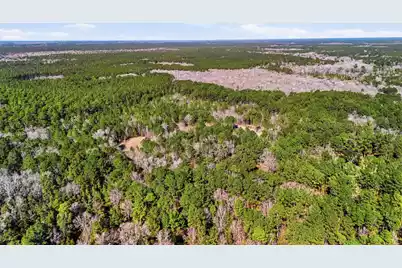 0 Gertie Lane, Cordesville, SC 29434 - Photo 7