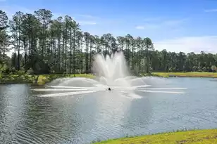 3955 Aberfeldy Ln, Ravenel, SC 29470 - Photo 13