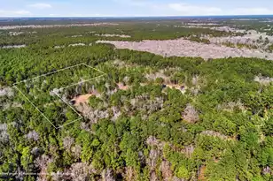 00 Gertie Ln, Cordesville, SC 29434 - Photo 1