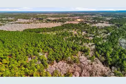 00 Gertie Lane, Cordesville, SC 29434 - Photo 11
