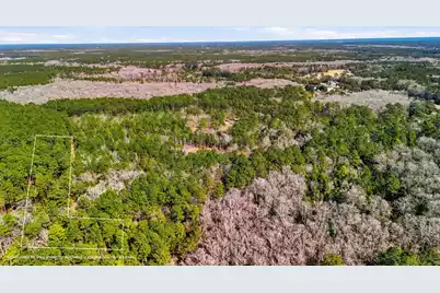 00 Gertie Lane, Cordesville, SC 29434 - Photo 3