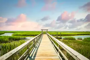 2292 Skyler Dr, Mount Pleasant, SC 29466 - Photo 51