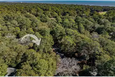 50 Crested Flycatcher, Kiawah Island, SC 29455 - Photo 9