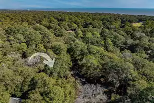 50 Crested Flycatcher, Kiawah Island, SC 29455 - Photo 9