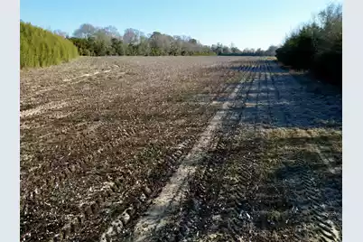 00 Barnwell St, Springfield, SC 29146 - Photo 11