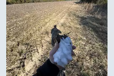 00 Barnwell St, Springfield, SC 29146 - Photo 45