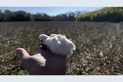 00 Barnwell St, Springfield, SC 29146 - Photo 35