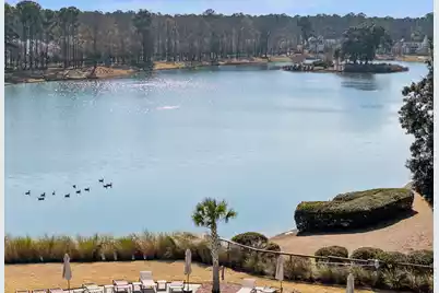 3803 Sawyers Island Dr Drive, Mount Pleasant, SC 29466 - Photo 69