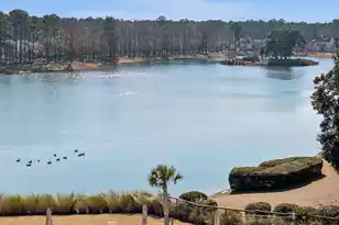 3803 Sawyers Island Dr Dr, Mount Pleasant, SC 29466 - Photo 69