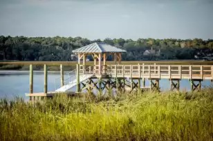 925 Fish Cp Rd, Charleston, SC 29492 - Photo 63