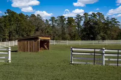 7356 Johnson Shortcut Road, Conway, SC 29527 - Photo 69