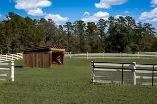 7356 Johnson Shortcut Rd, Conway, SC 29527 - Photo 69