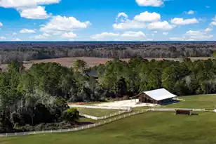 7356 Johnson Shortcut Rd, Conway, SC 29527 - Photo 5