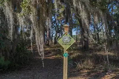 0 Bailey Island Lane, Edisto Island, SC 29438 - Photo 21