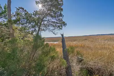 0 Bailey Island Lane, Edisto Island, SC 29438 - Photo 23