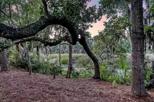 1636 Oak Leaf St, Daniel Island, SC 29492 - Photo 5