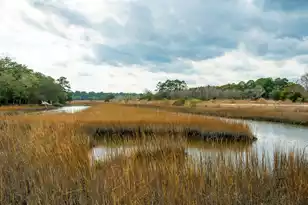529 2 Mile Run, Johns Island, SC 29455 - Photo 99
