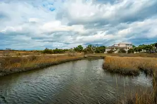 529 2 Mile Run, Johns Island, SC 29455 - Photo 97
