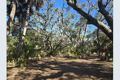 58 Painted Bunting Trail, Edisto Island, SC 29438 - Photo 9