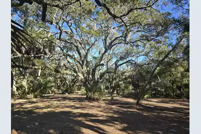 58 Painted Bunting Trail, Edisto Island, SC 29438 - Photo 1