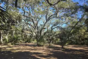 58 Painted Bunting Trail, Edisto Island, SC 29438 - Photo 1