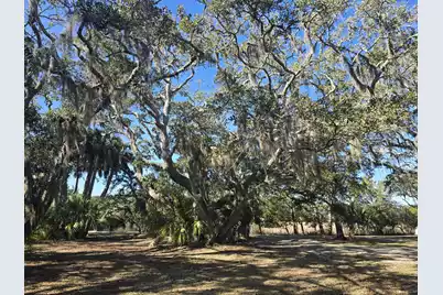 58 Painted Bunting Trail, Edisto Island, SC 29438 - Photo 15