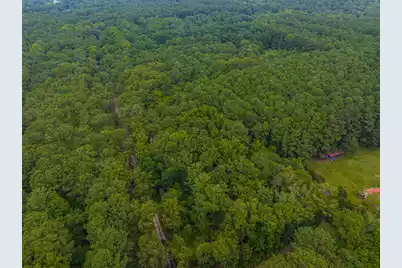 0 Geneva Shaw Lane, Wadmalaw Island, SC 29487 - Photo 7