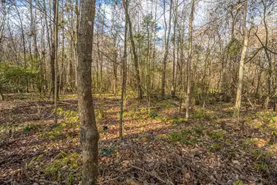 126 Sarmiento Lane, Summerville, SC 29483 - Photo 37