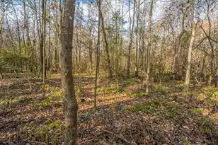 126 Sarmiento Ln, Summerville, SC 29483 - Photo 37