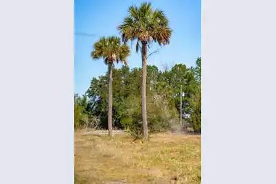 328 Maggie Road, Mount Pleasant, SC 29464 - Photo 13