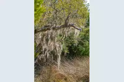 328 Maggie Road, Mount Pleasant, SC 29464 - Photo 11