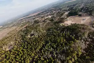 00 Thomas Rd, Dorchester, SC 29437 - Photo 3