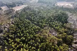 00 Thomas Rd, Dorchester, SC 29437 - Photo 5