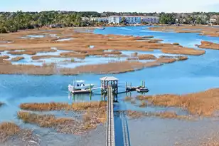 430 Fish Tale Rd, Charleston, SC 29492 - Photo 3